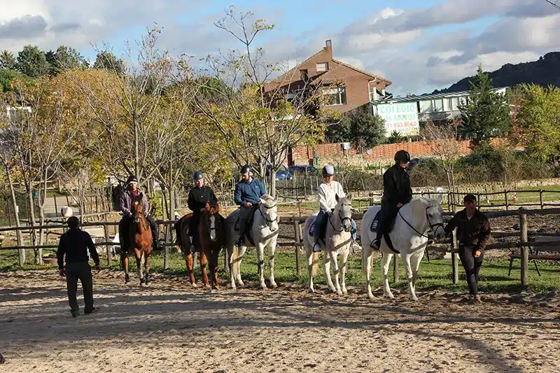 paseos a caballo